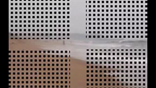 ಪೋವಗ್ನಯಾ ಪ್ರದರ್ಶನಕಾರರು ನಗರದ ಮೂಲಕ ನಡೆದು, ಪುಸಿ ಮತ್ತು ಟಿಟ್ಸ್ಗಳನ್ನು ತೋರಿಸುತ್ತಾರೆ